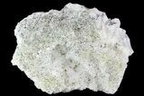 Quartz, Fluorite and Pyrite Crystal Association - Morocco #82793-2